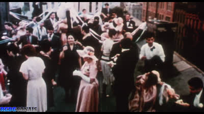 Touro Indomável $corp