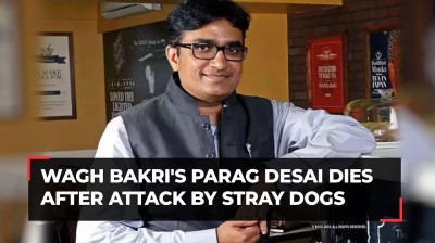 Wagh Bakri's executive director, Parag Desai, succumbs to injuries inflicted by stray dogs